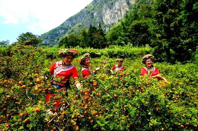 &ldquo;富礦精開&rdquo;強優(yōu)勢--六盤水奮力在新時代西部大開發(fā)上闖新路