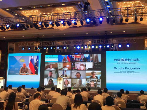 海關(guān)總署 中國(guó)對(duì)中東歐國(guó)家進(jìn)出口貿(mào)易持續(xù)穩(wěn)定增長(zhǎng)