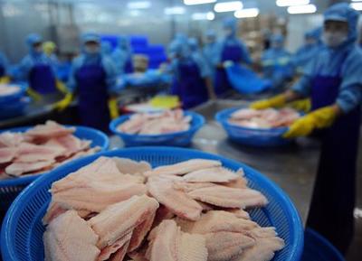 我國農(nóng)產(chǎn)品出口穩(wěn)步增長