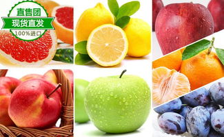 供應(yīng) 寧波食品進口報關(guān)貿(mào)易代理